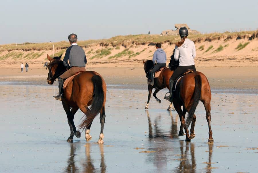 Balade à cheval à Royan